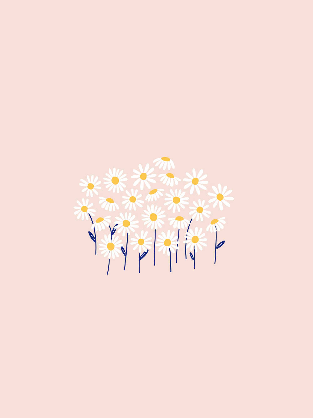 daisies, white daisies, yellow centers, HD Phone Wallpaper