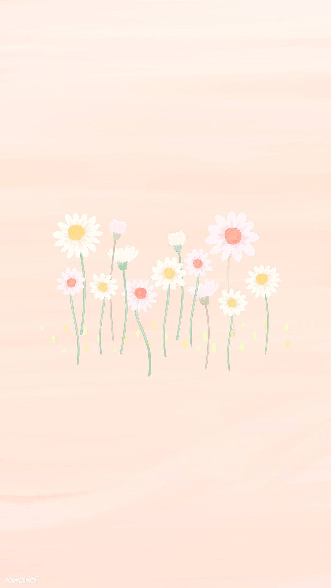 tulips, white daisy, peach gradient background, Full HD Phone Wallpaper