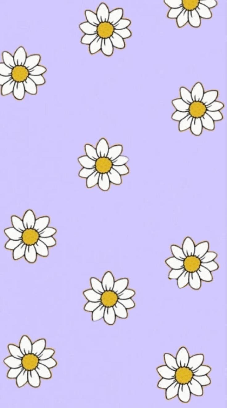 pastel violet, white daisy, iPhone, HD Phone Wallpaper