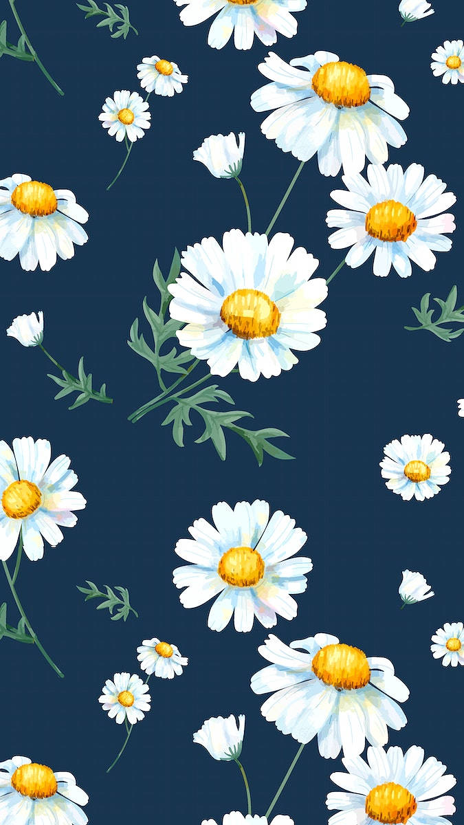 white daisy iPhone, white daisies, golden centers, SD Phone Wallpaper