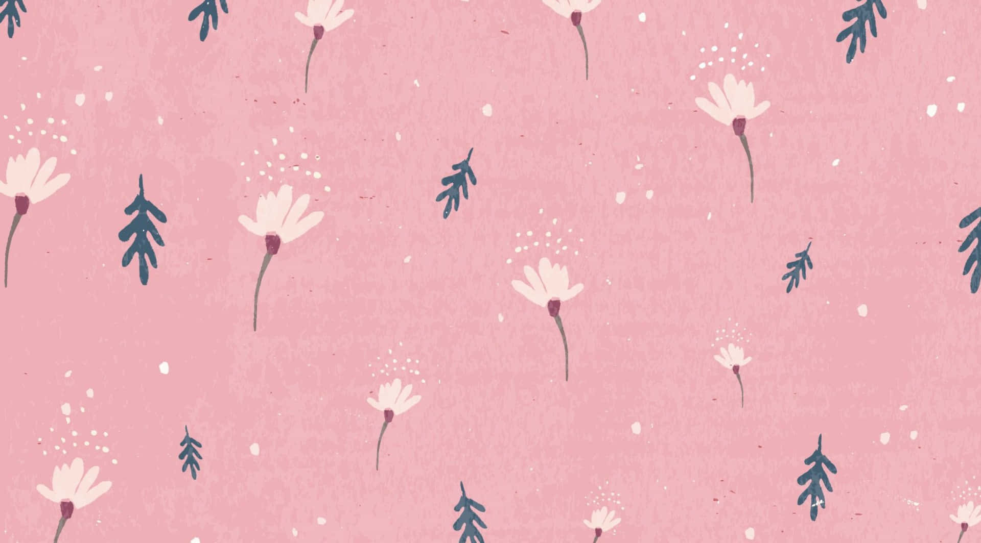 pink laptop, white daisies, dark green leaves, Full HD Desktop Wallpaper