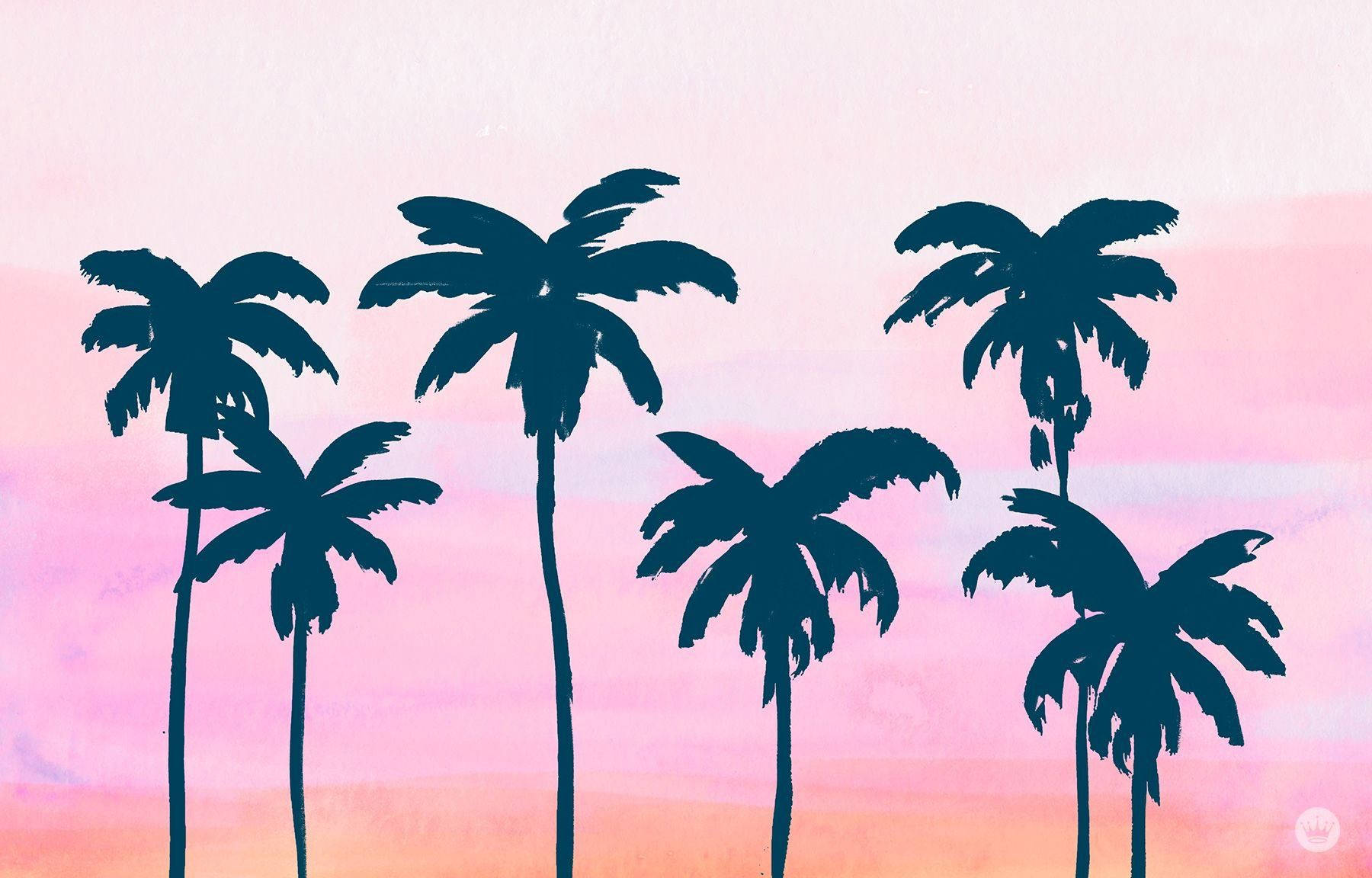 palm trees, pink and peach sunset sky, silhouetted, HD Desktop Wallpaper