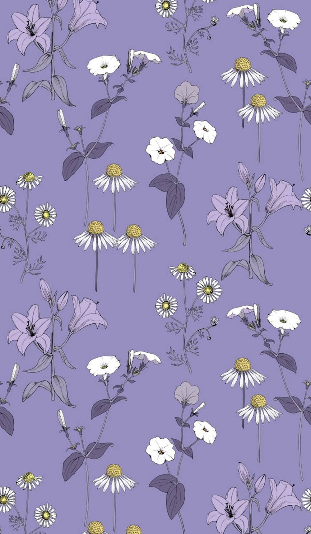 minimalist daisy illustration phone, purple and white wildflowers, yellow centers, HD Phone Wallpaper