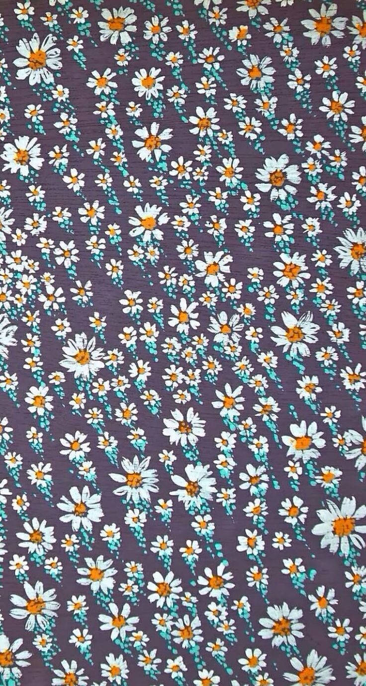 painted daisies, white daisies, orange centers, HD Phone Wallpaper