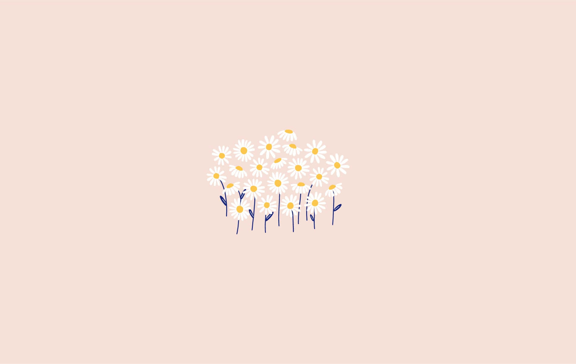 Daisy Aesthetic Computer, daisies, white petals, HD Desktop Wallpaper