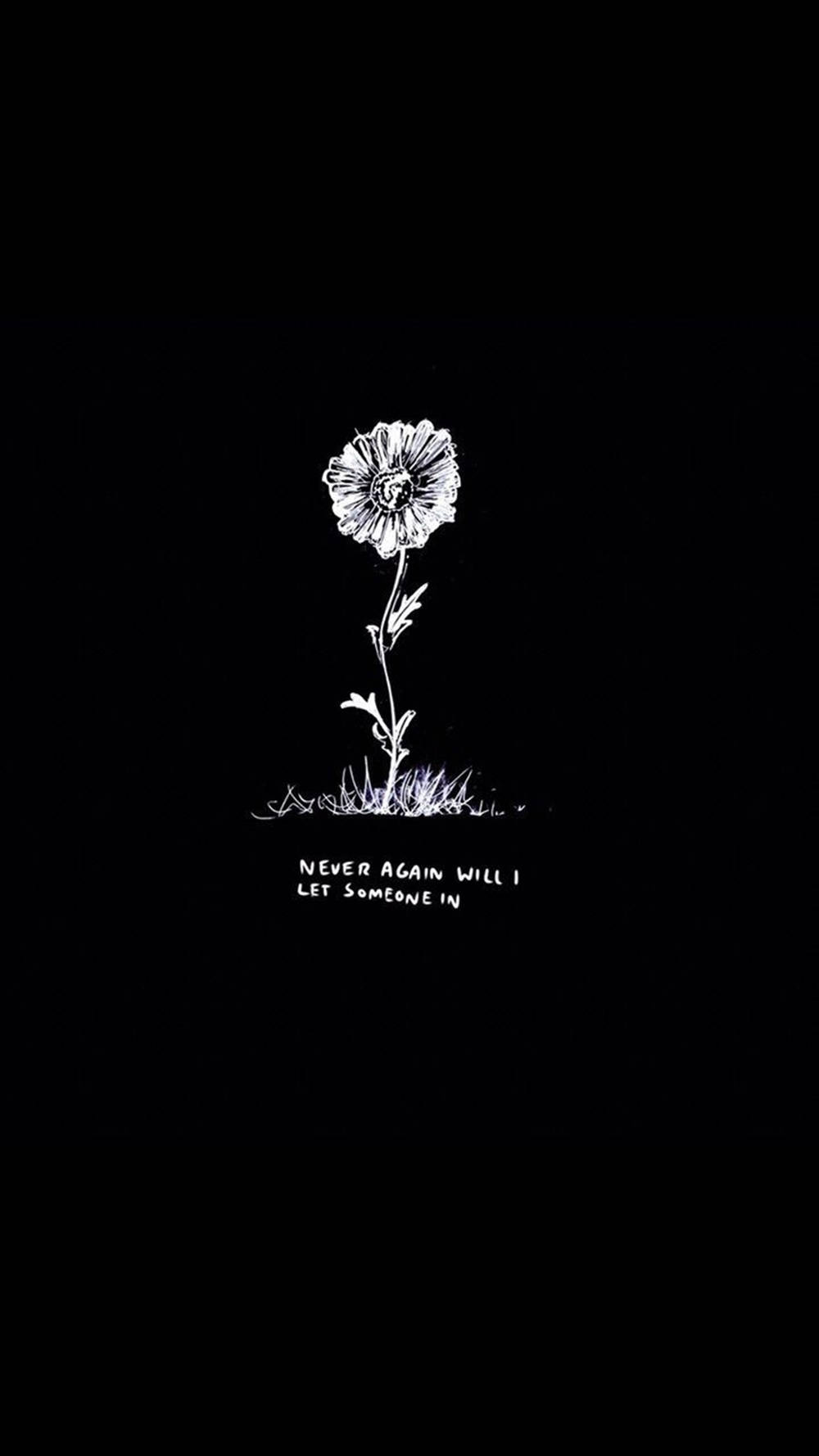 Daisy, tumblr, black background, HD Phone Wallpaper