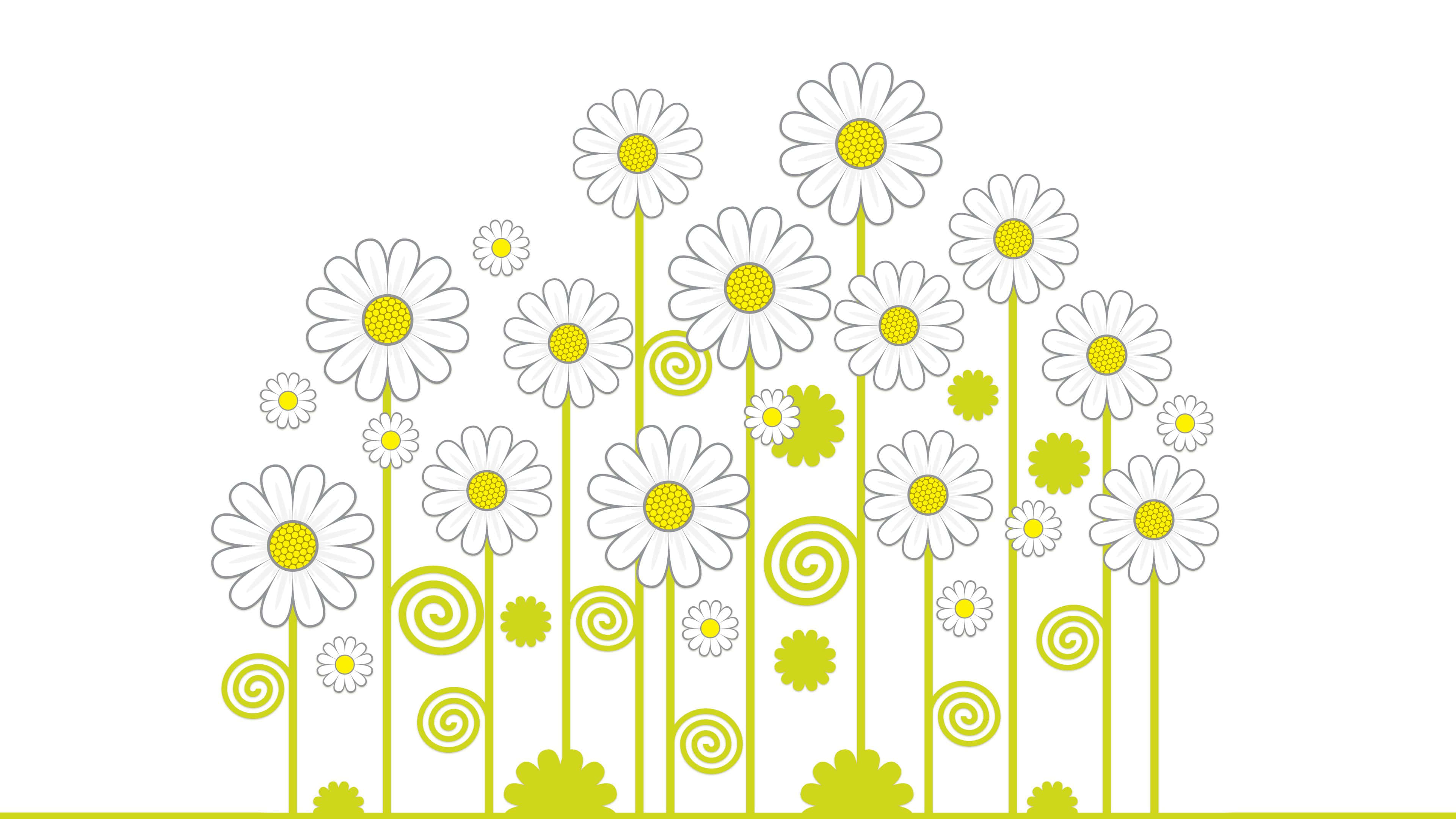 Daisy, stylized daisies, yellow centers, 4K Desktop Wallpaper