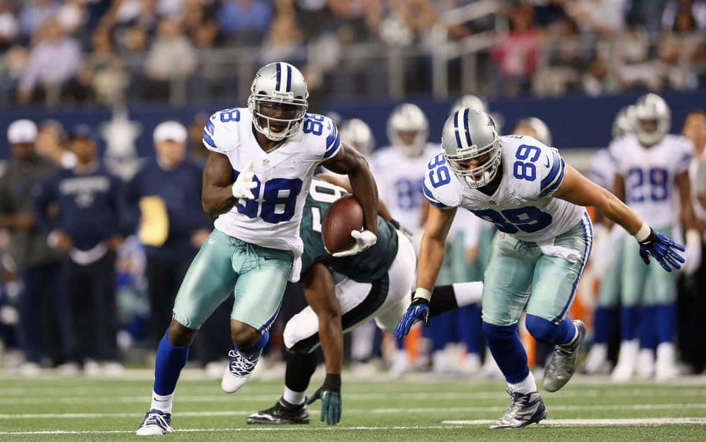 Dallas Cowboys Players, number 88, number 89, SD Desktop Wallpaper