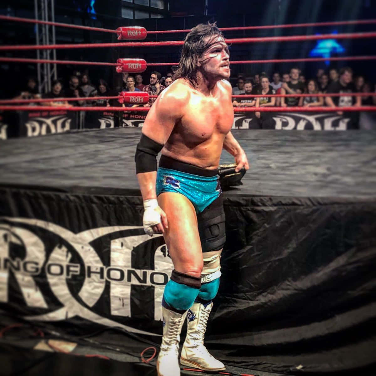 Dalton Castle, championship belt, ring, SD Desktop Wallpaper