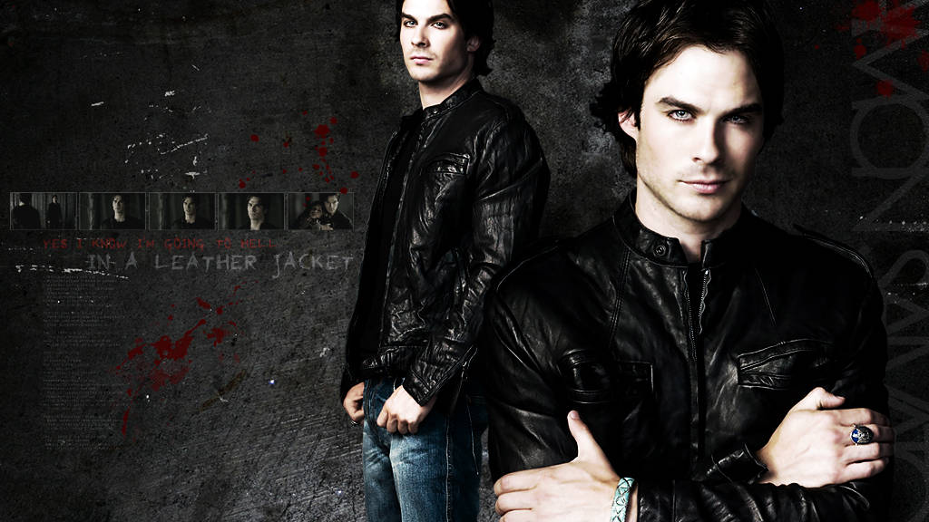 Damon Salvatore, black leather jackets, gritty dark wall, SD Desktop Wallpaper