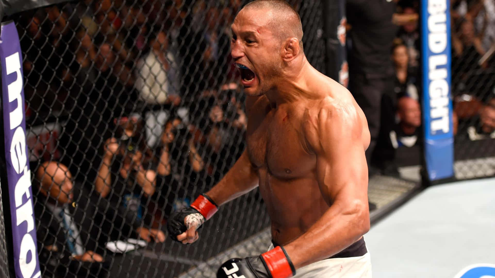 Dan Henderson, MMA fighter, octagon cage, Full HD Desktop Wallpaper