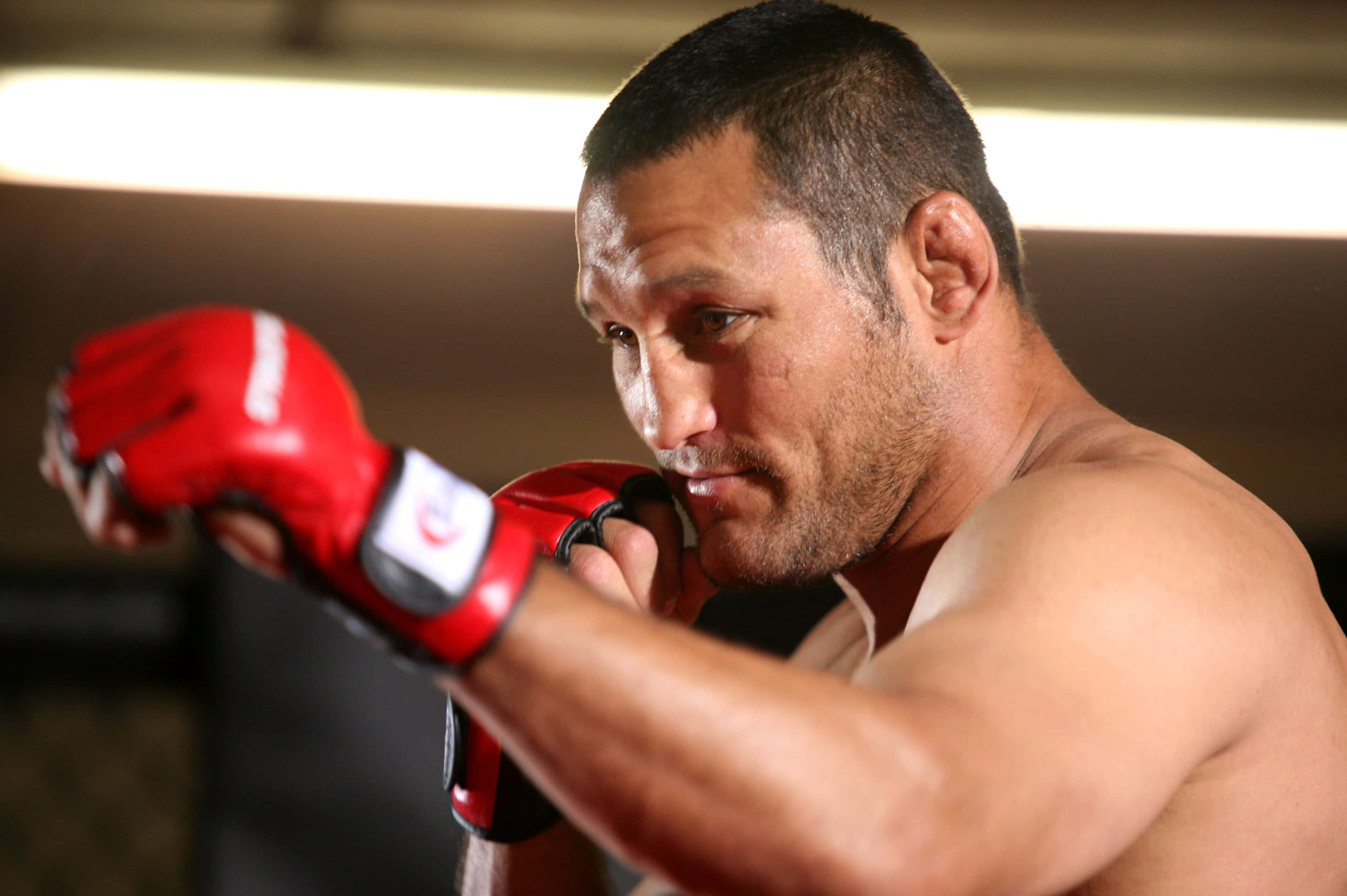 Dan Henderson, red gloves, dimly lit gym, 2K Desktop Wallpaper