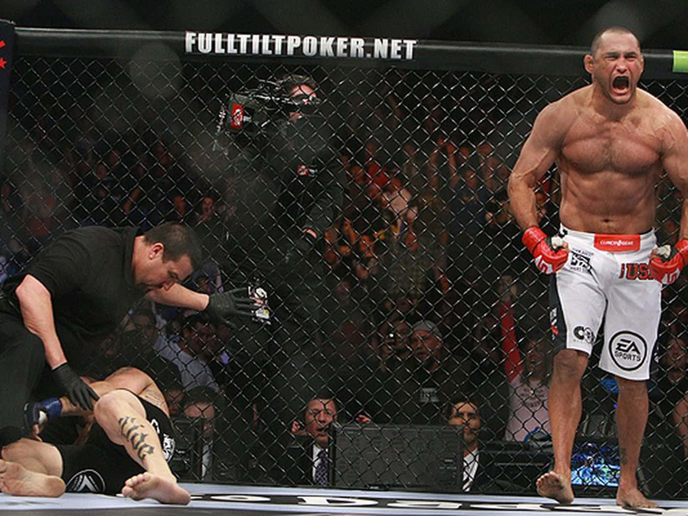 Dan Henderson, MMA fighter, octagon, HD Desktop Wallpaper