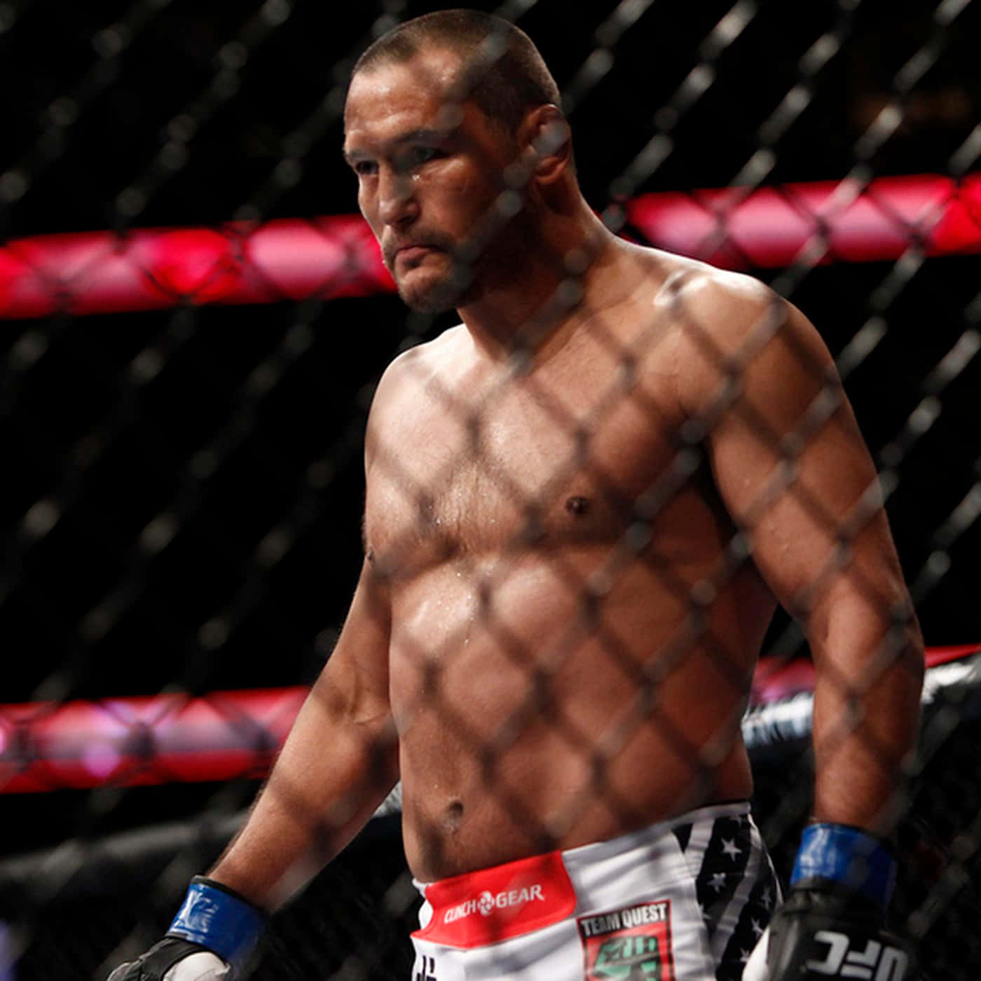 Dan Henderson, octagon cage, gloves, HD Desktop Wallpaper
