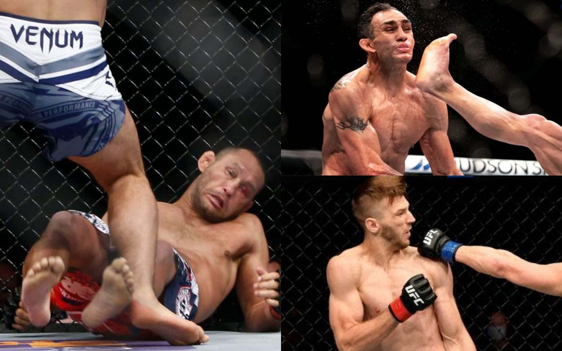 Dan Henderson, MMA fighters, cage combat, Full HD Desktop Wallpaper