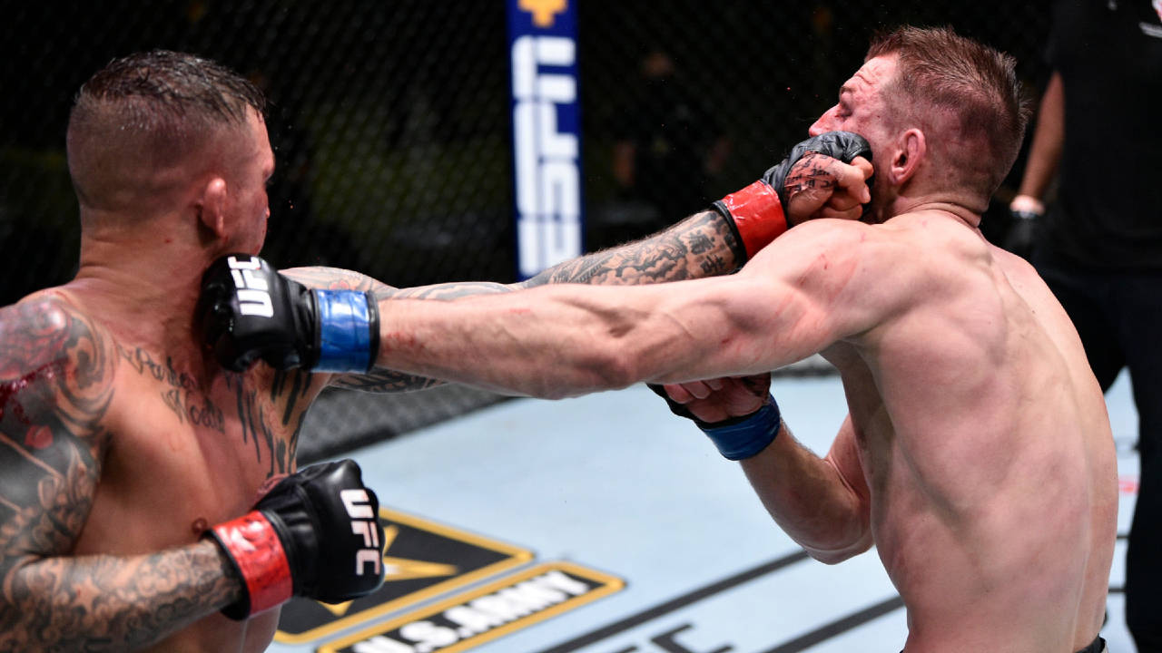 Dan Hooker, double left hooks, MMA fighters, HD Desktop Wallpaper