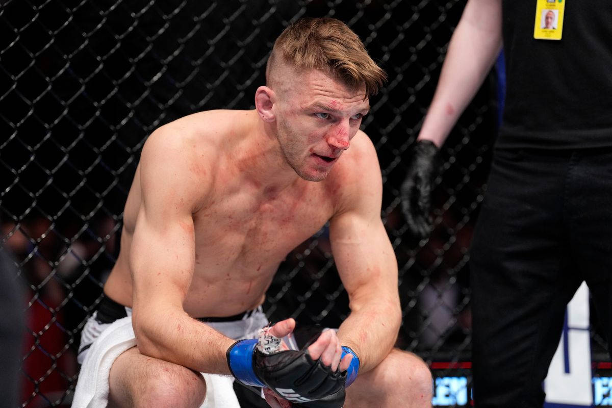 Dan Hooker, MMA fighter, octagon cage, SD Desktop Wallpaper