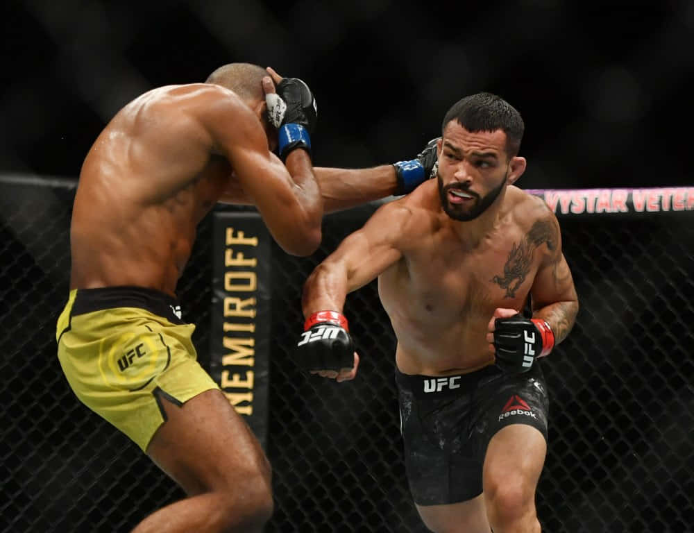Dan Ige, UFC fighters, cage match, SD Desktop Wallpaper