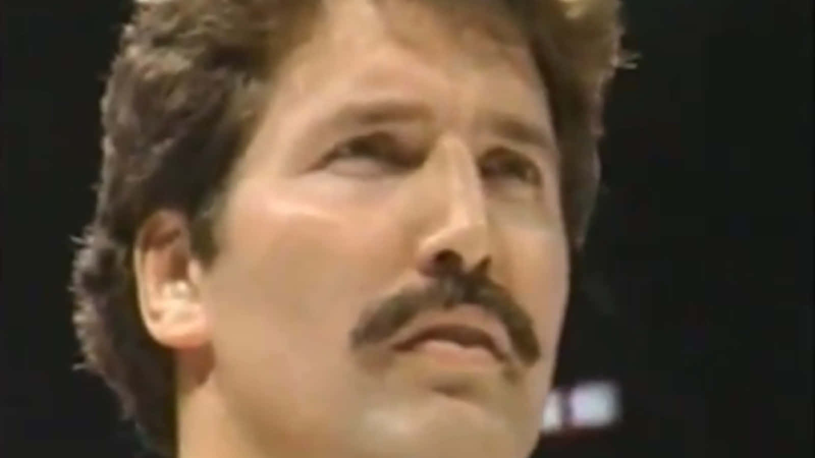 Dan Severn, dark curly hair, thick mustache, HD Desktop Wallpaper