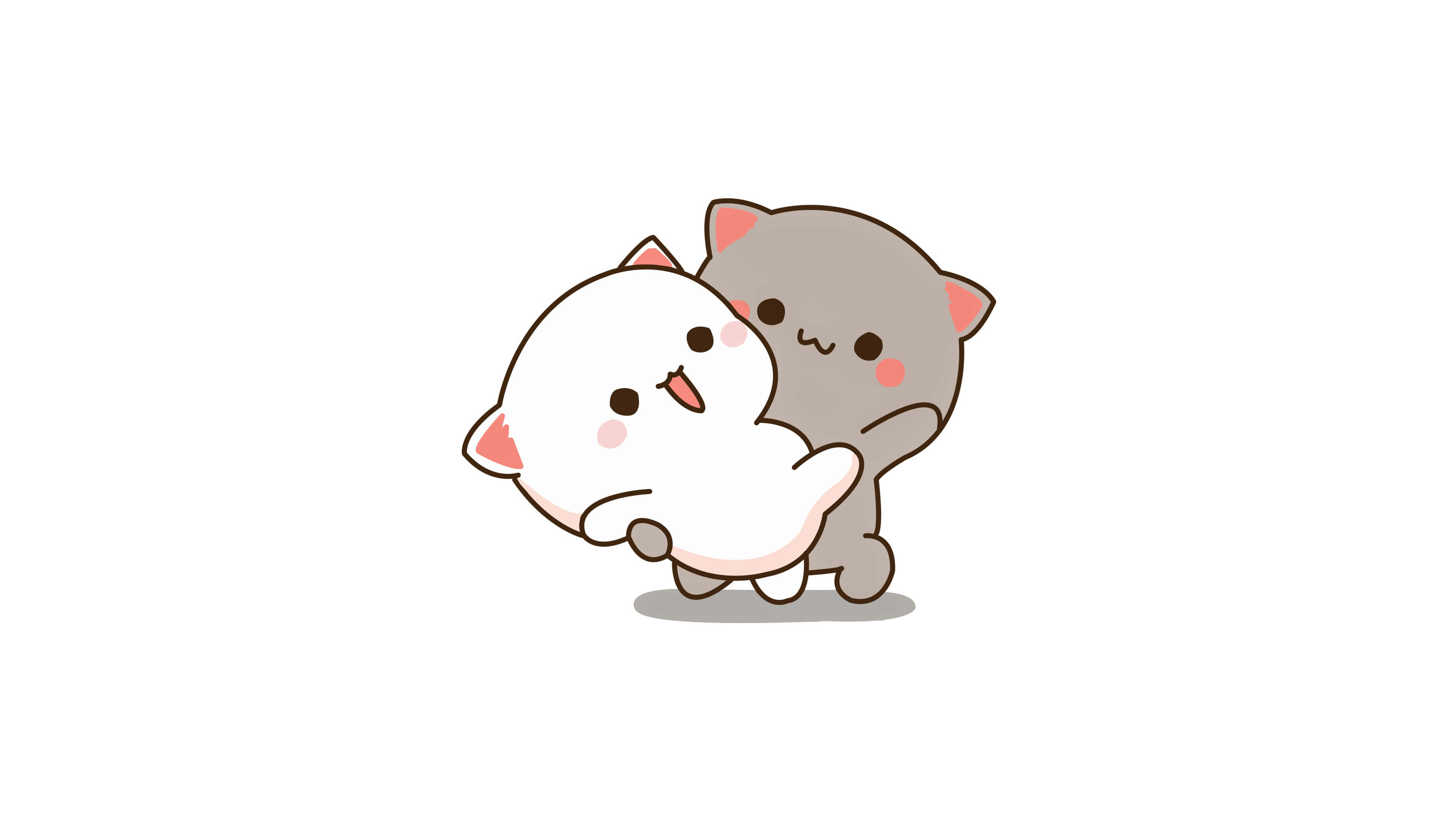 dancing cat, gray cat, white cat, 4K Desktop Wallpaper