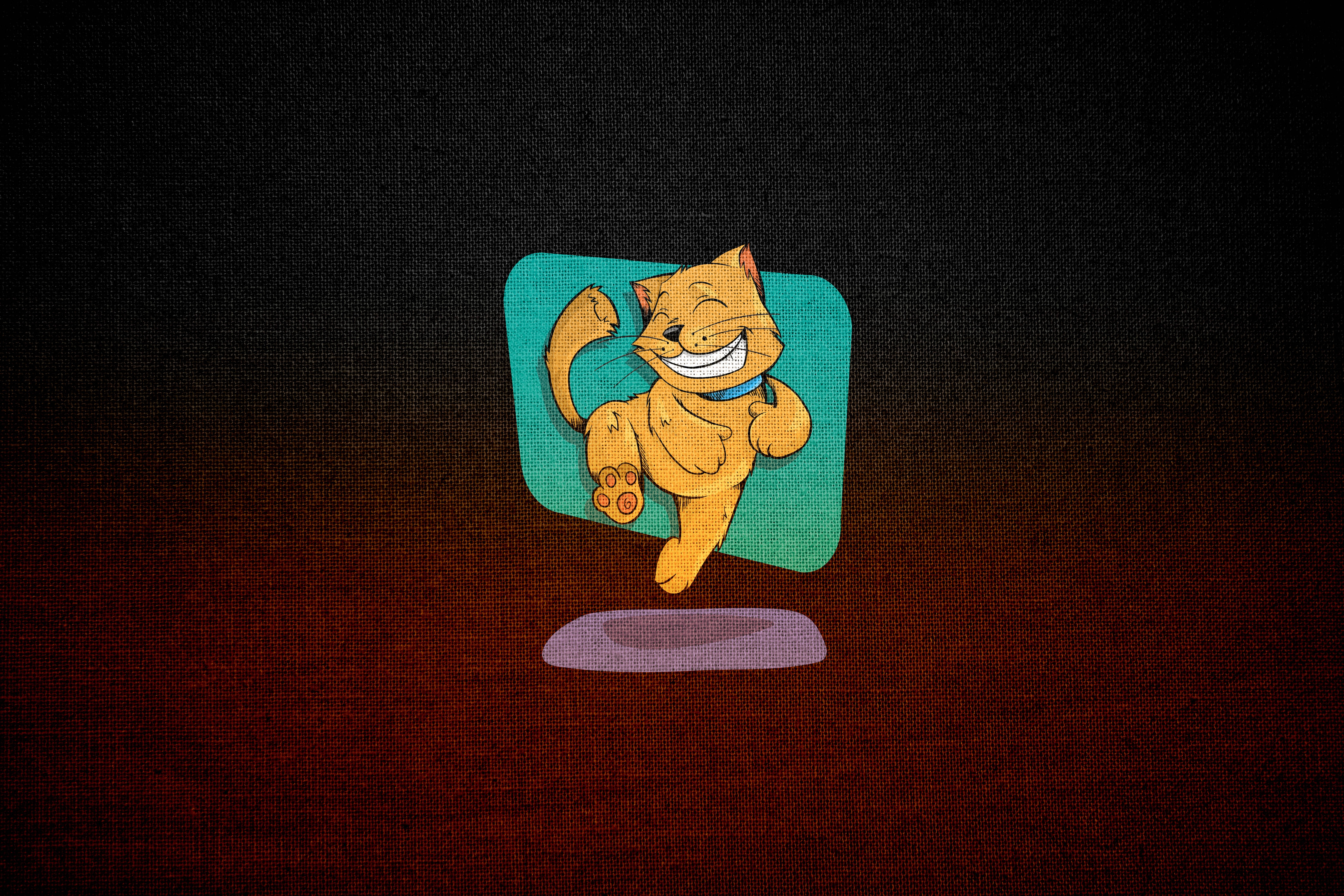 yellow jumping happy cat, teal square, dark textured background, 5K Desktop Wallpaper