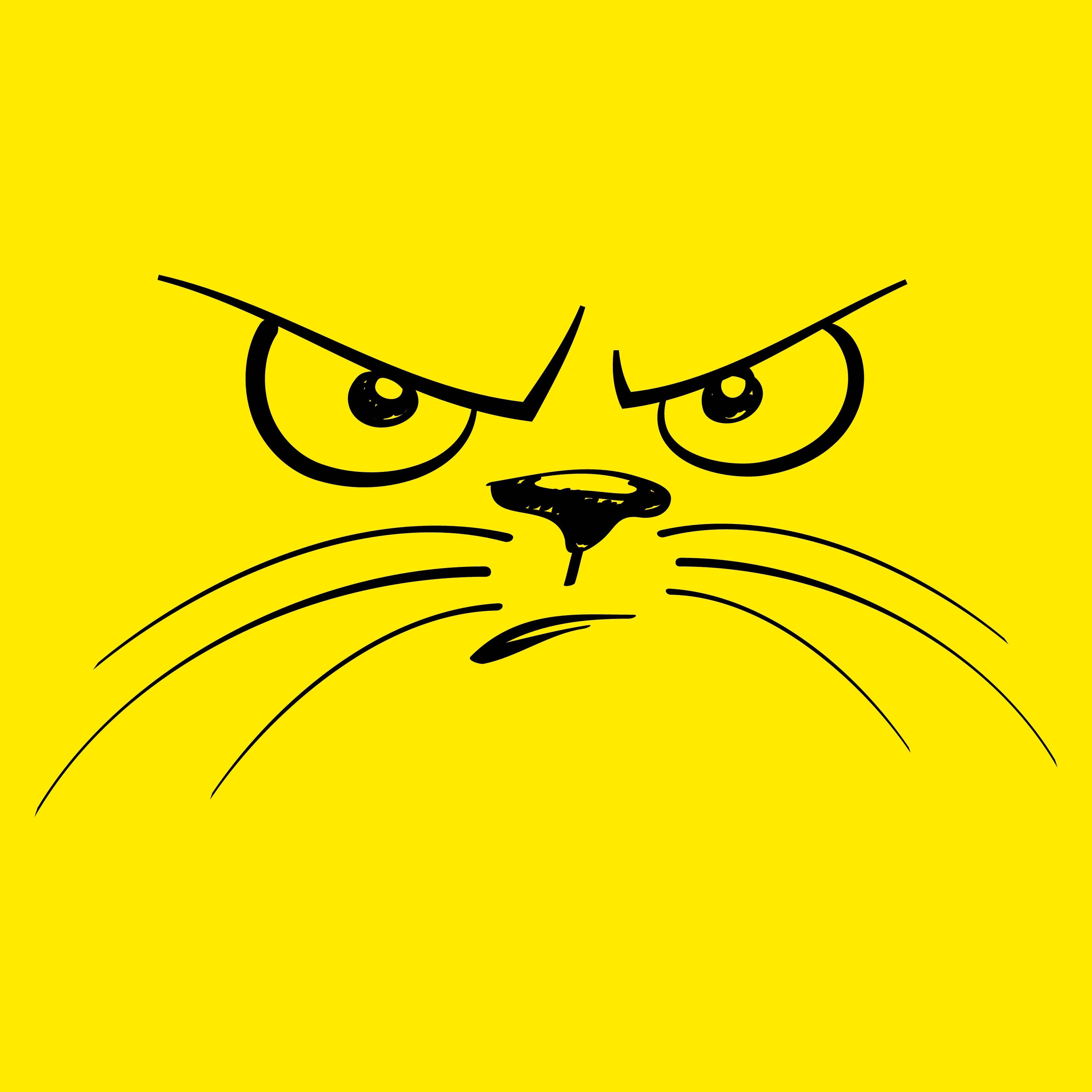 yellow angry cat, angry cat face, narrowed eyes, 2K Desktop Wallpaper