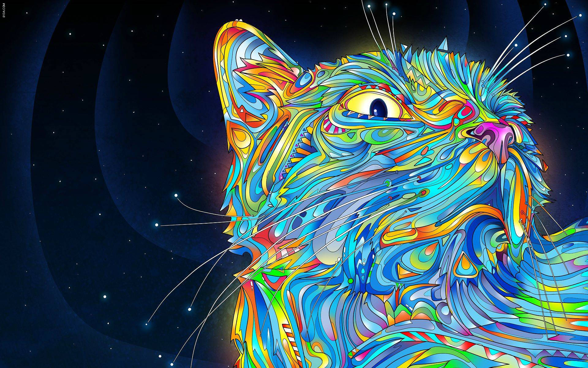 rainbow, psychedelic cat, swirling rainbow patterns, Full HD Desktop Wallpaper