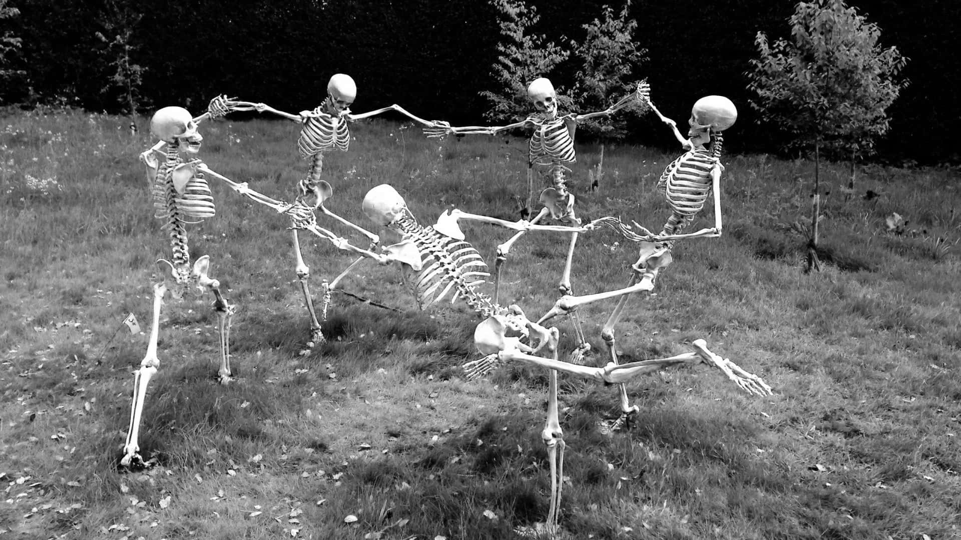dancing skeletons, grassy field, human chain, Full HD Desktop Wallpaper