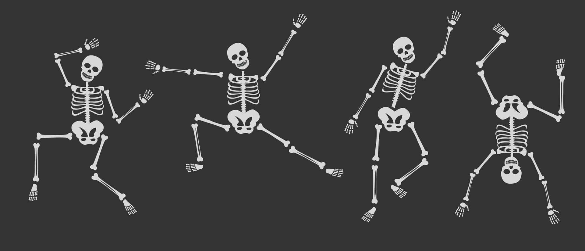 dancing skeletons, white cartoon skeletons, dark gray background, Full HD Desktop Wallpaper
