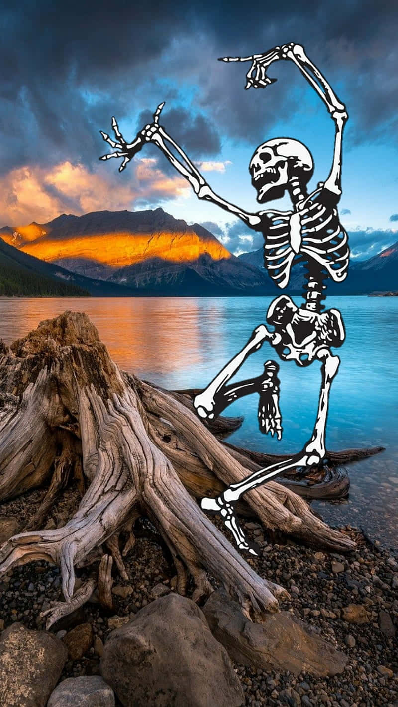 dancing skeleton, lakeside sunset, calm lake, HD Phone Wallpaper