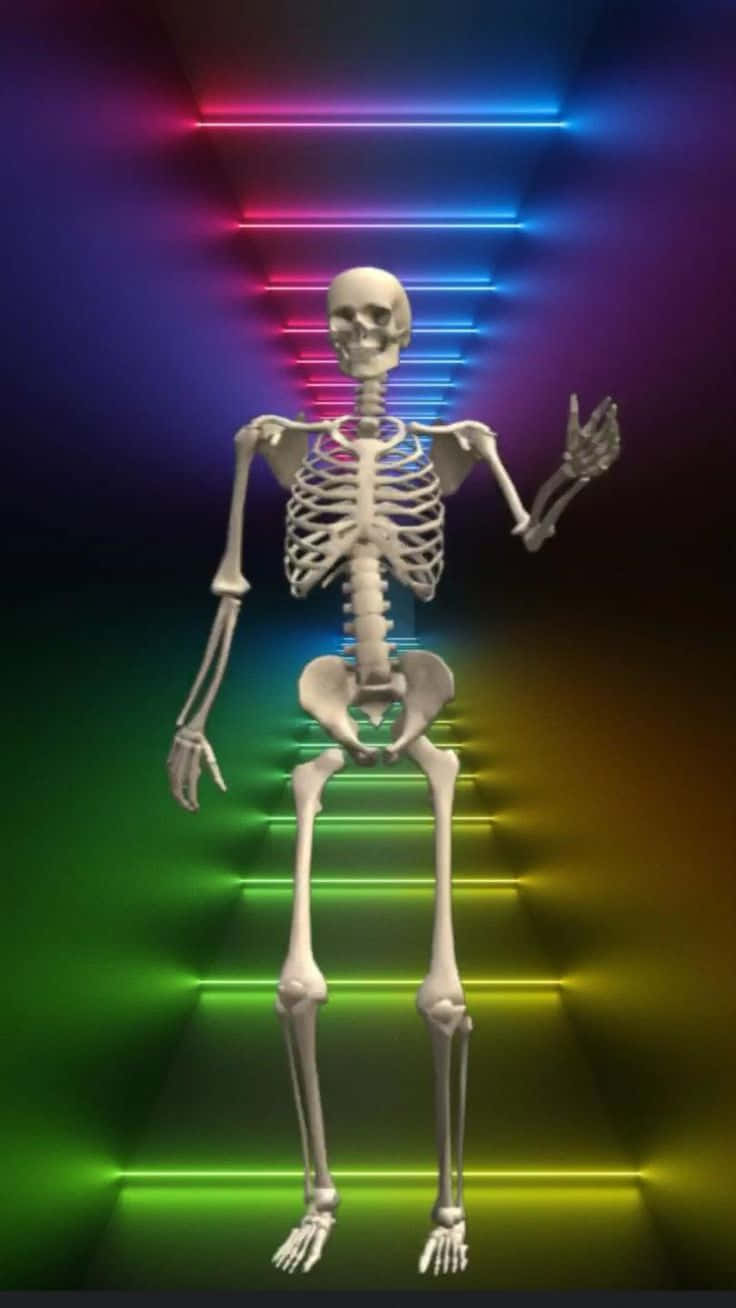 vibrant neon light tunnel, full human skeleton, rainbow neon light, HD Phone Wallpaper