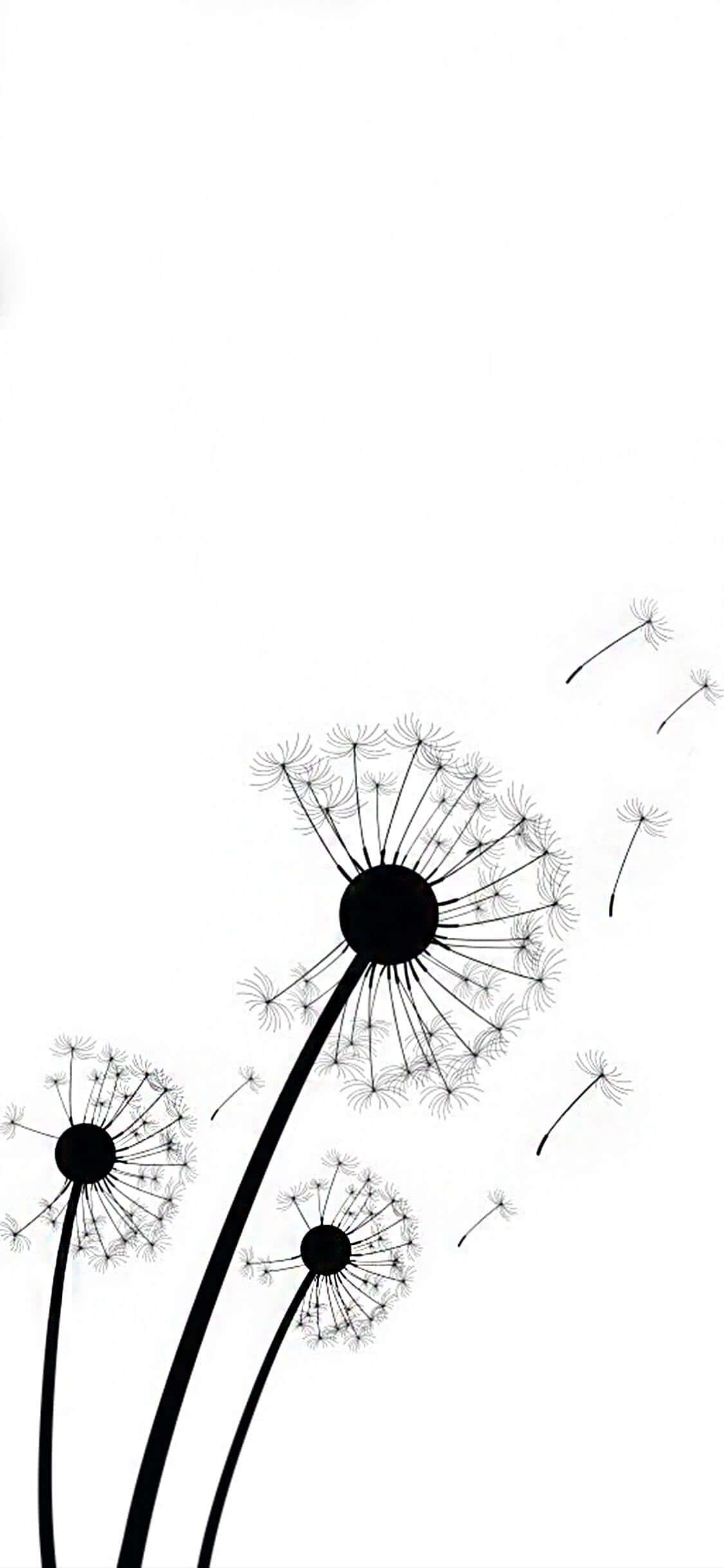 iPhone, white, dandelions, Full HD Phone Wallpaper