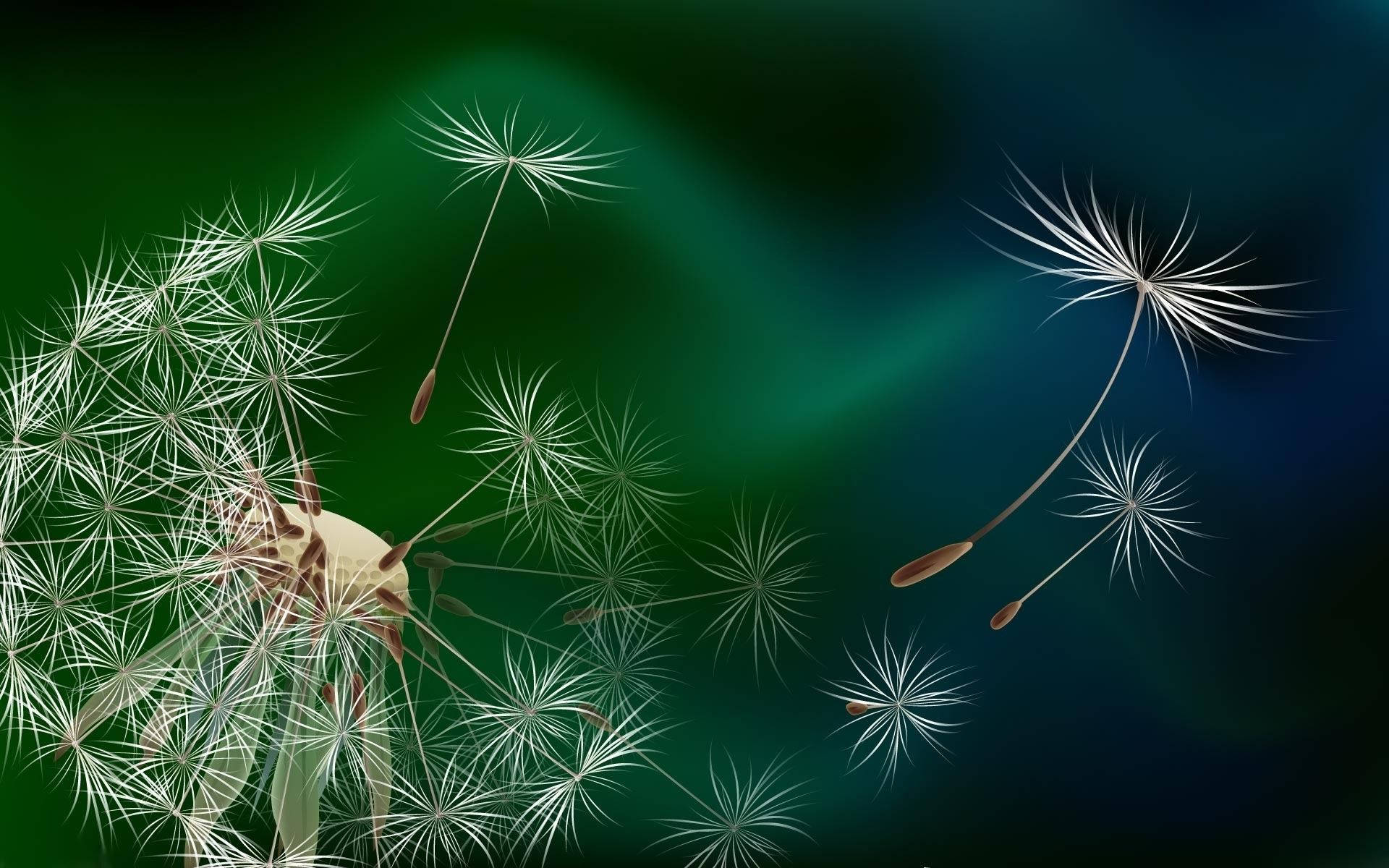 dandelion seed head flowers, gradient green and blue night sky, soft glowing light rays, Full HD Desktop Wallpaper