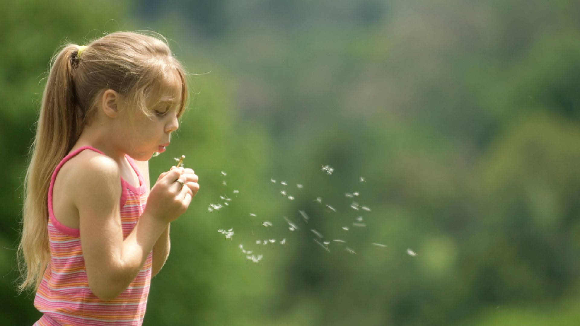 Ponytail Girl Wish, dandelion seeds, soft green forest, Full HD Desktop Wallpaper