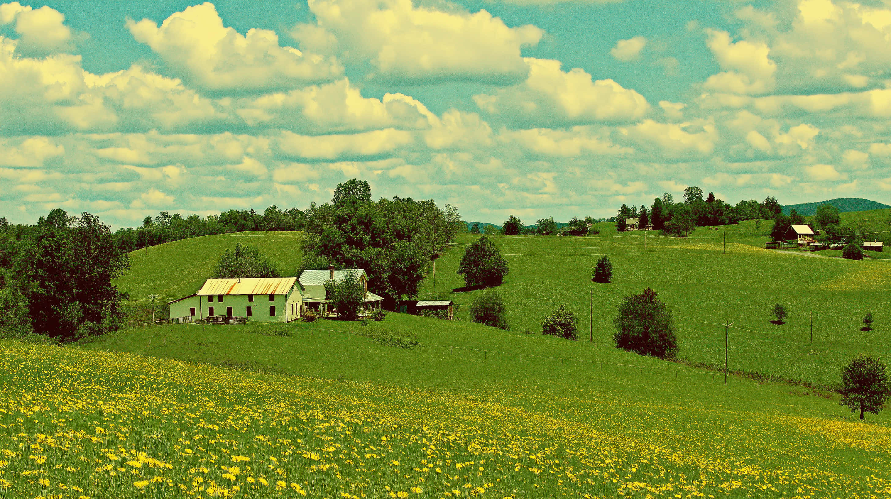 rustic countryside farm, dandelions, expansive sky, 2K Desktop Wallpaper