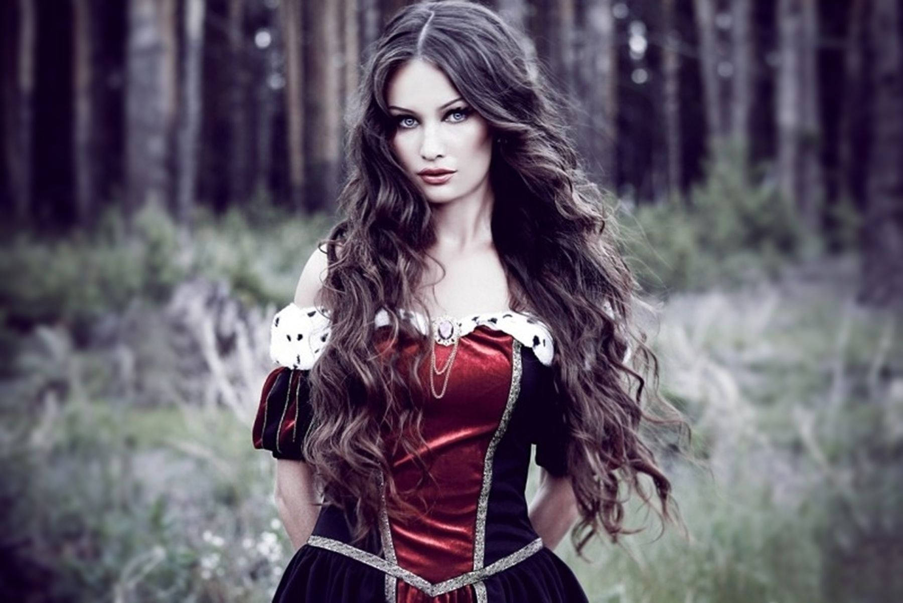 Dani Daniels, red and black velvet gown, misty forest, HD Desktop Wallpaper