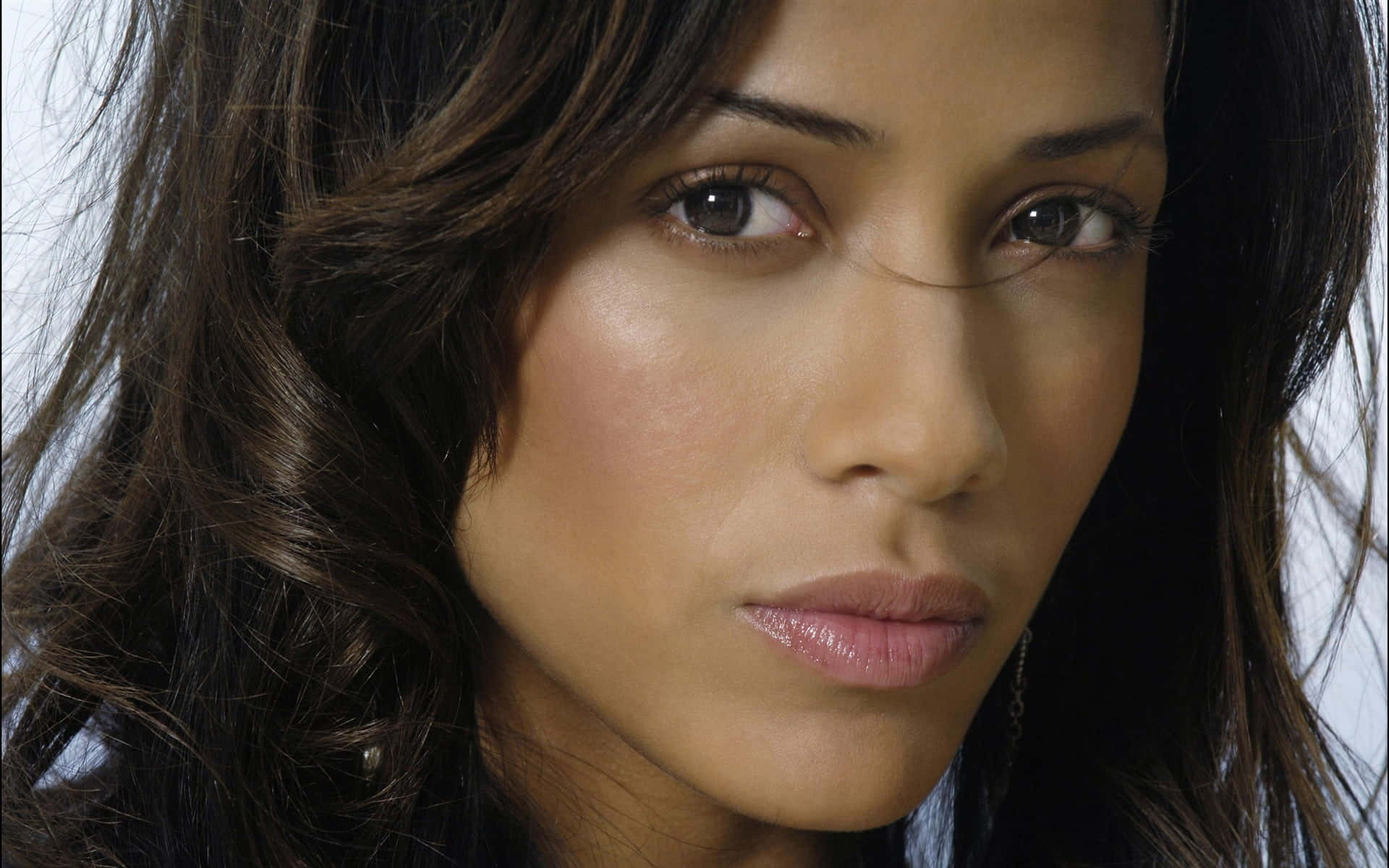 Dania Ramirez, dark wavy hair, intense gaze, Full HD Desktop Wallpaper
