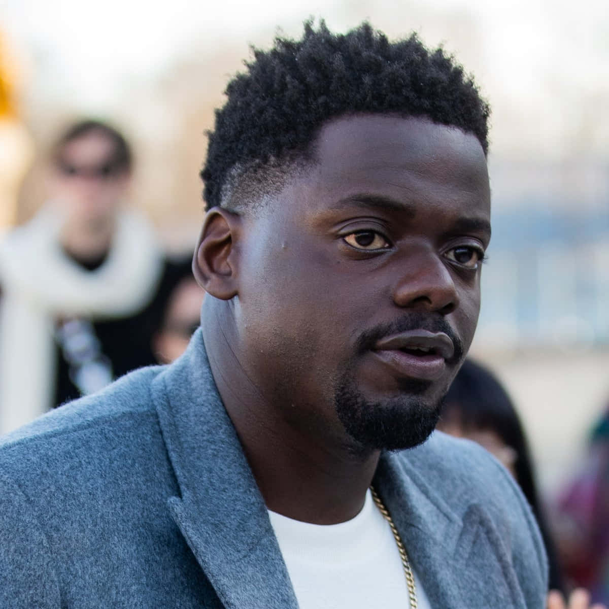 Daniel Kaluuya, Black man, short curly hair, SD Desktop Wallpaper