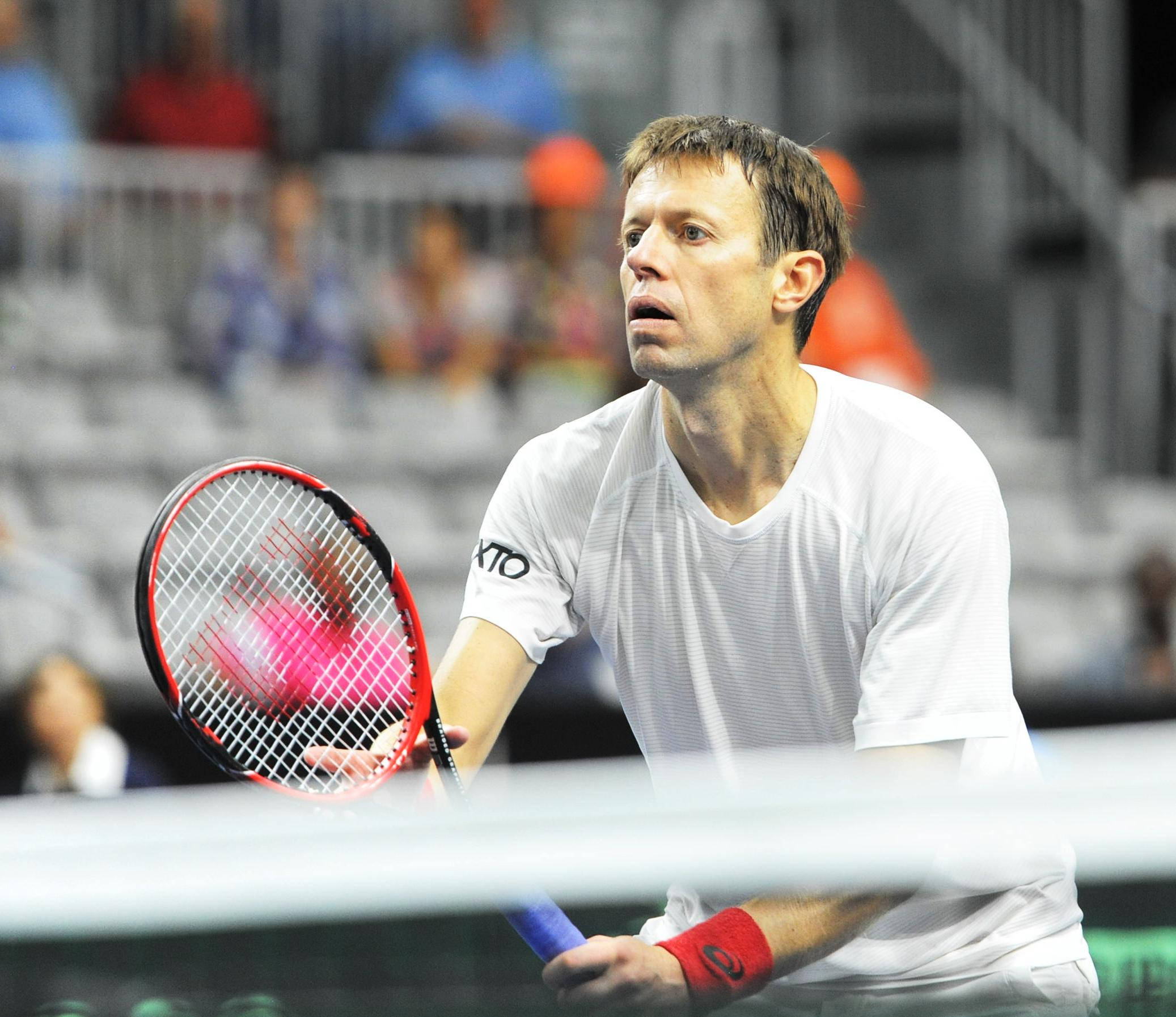 Daniel Nestor, white gear, red racket, Full HD Desktop Wallpaper