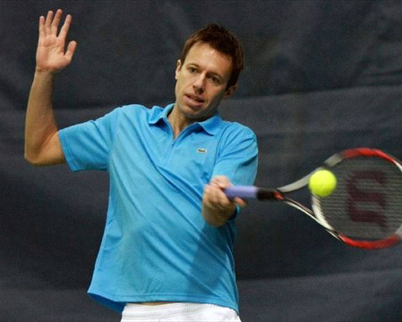 Daniel Nestor, blue polo shirt, yellow tennis ball, HD Desktop Wallpaper