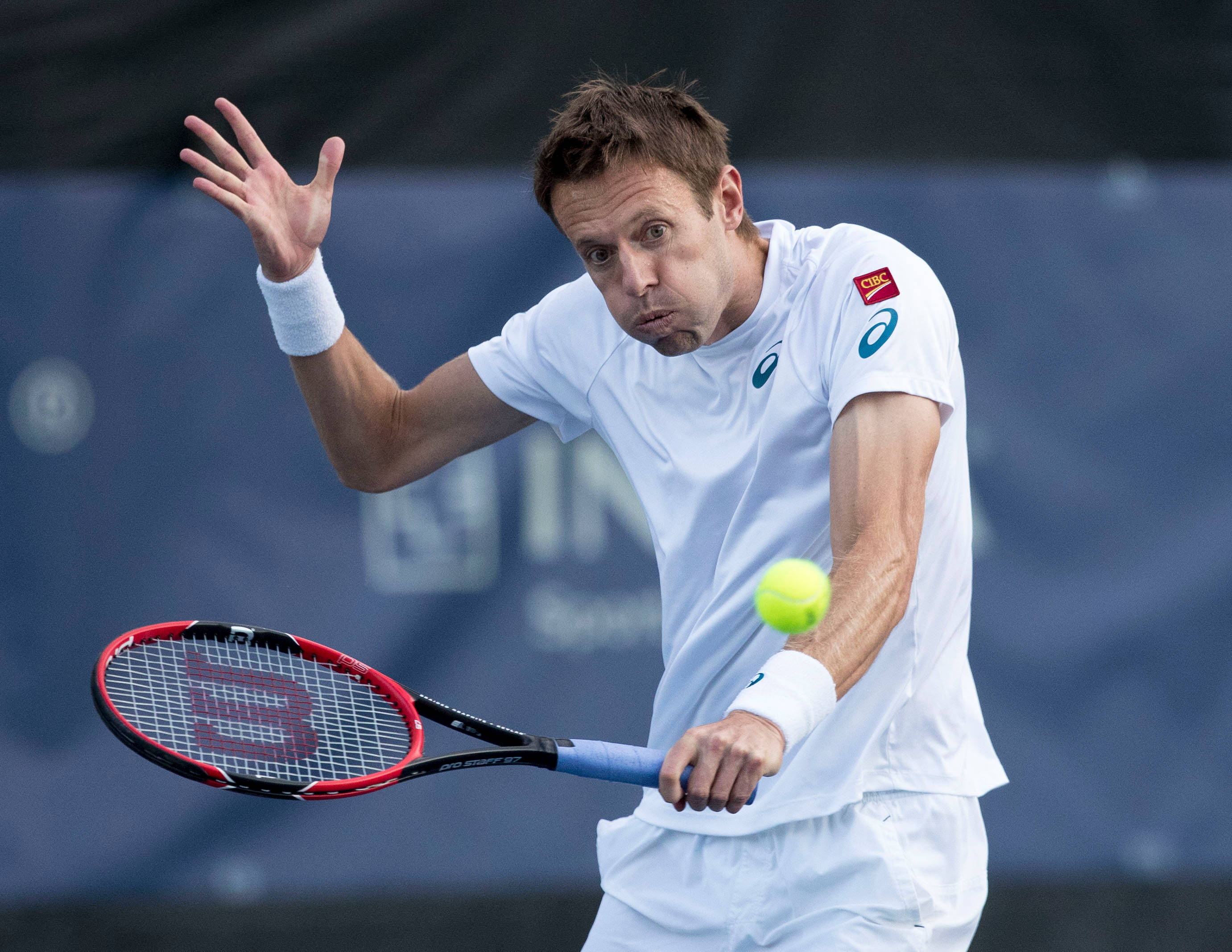 Daniel Nestor, tennis player, white gear, 2K Desktop Wallpaper