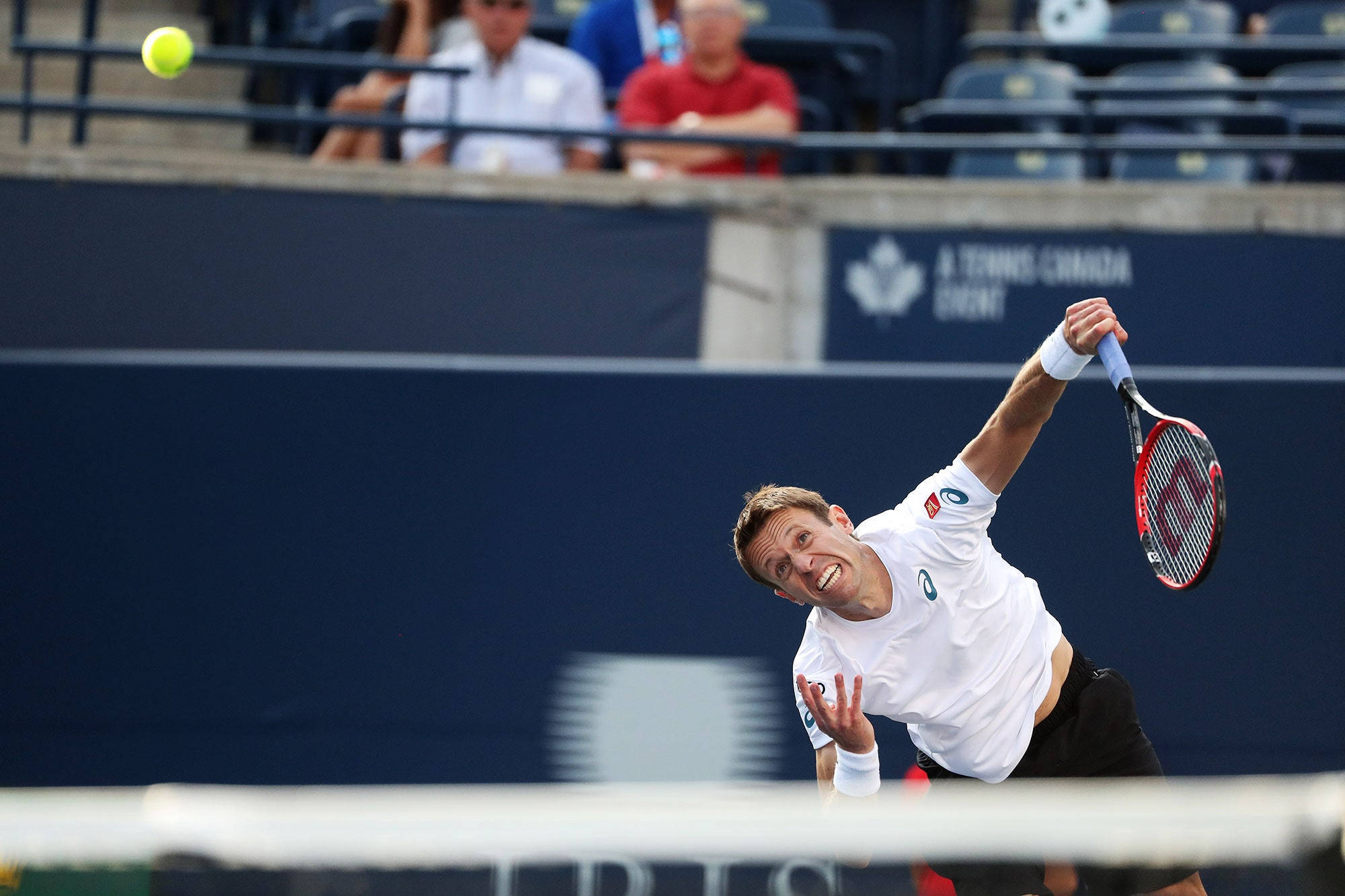 Daniel Nestor, tennis player, bright yellow ball, Full HD Desktop Wallpaper