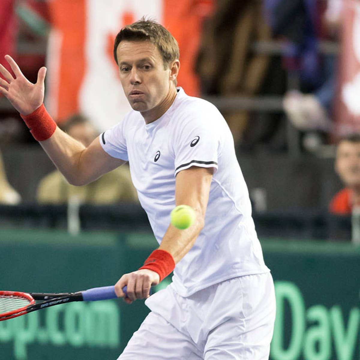 Daniel Nestor, tennis player, white gear, SD Desktop Wallpaper