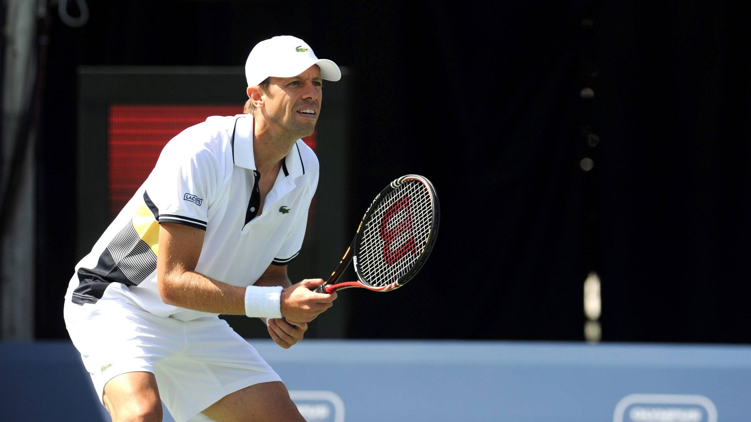 Daniel Nestor, Lacoste outfit, white gear, Full HD Desktop Wallpaper