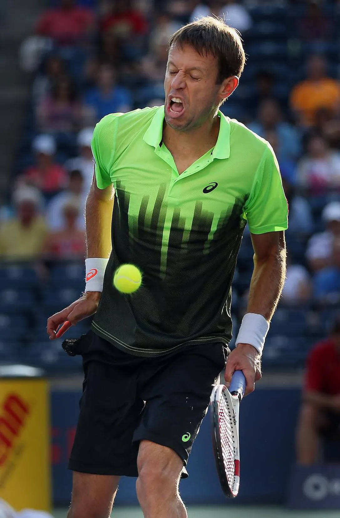 Daniel Nestor, neon green shirt, yellow ball, HD Phone Wallpaper