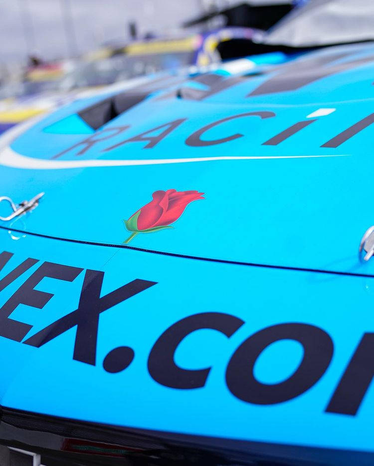 Daniel Suarez, bright blue, red rose sticker, SD Phone Wallpaper