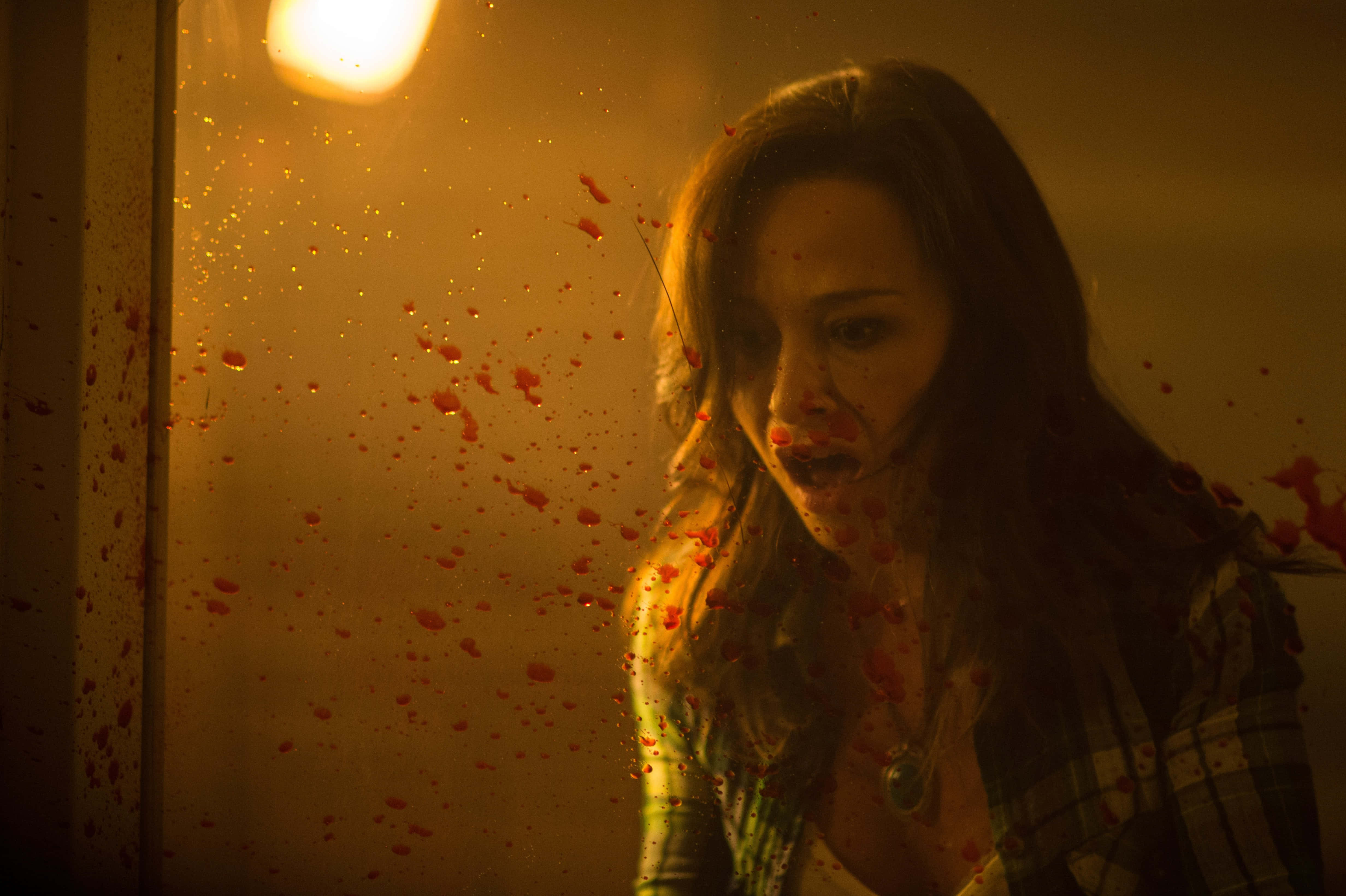 Danielle Harris, splattered glass door, warm overhead light, 4K Desktop Wallpaper