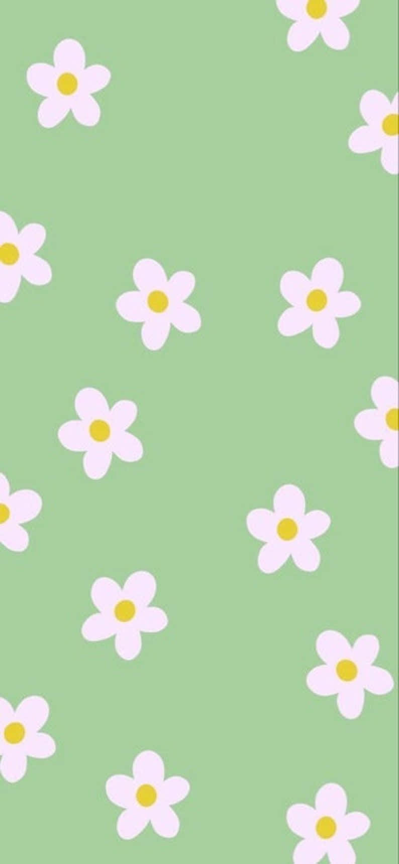 Danish Pastel, mint green, white daisies, HD Phone Wallpaper