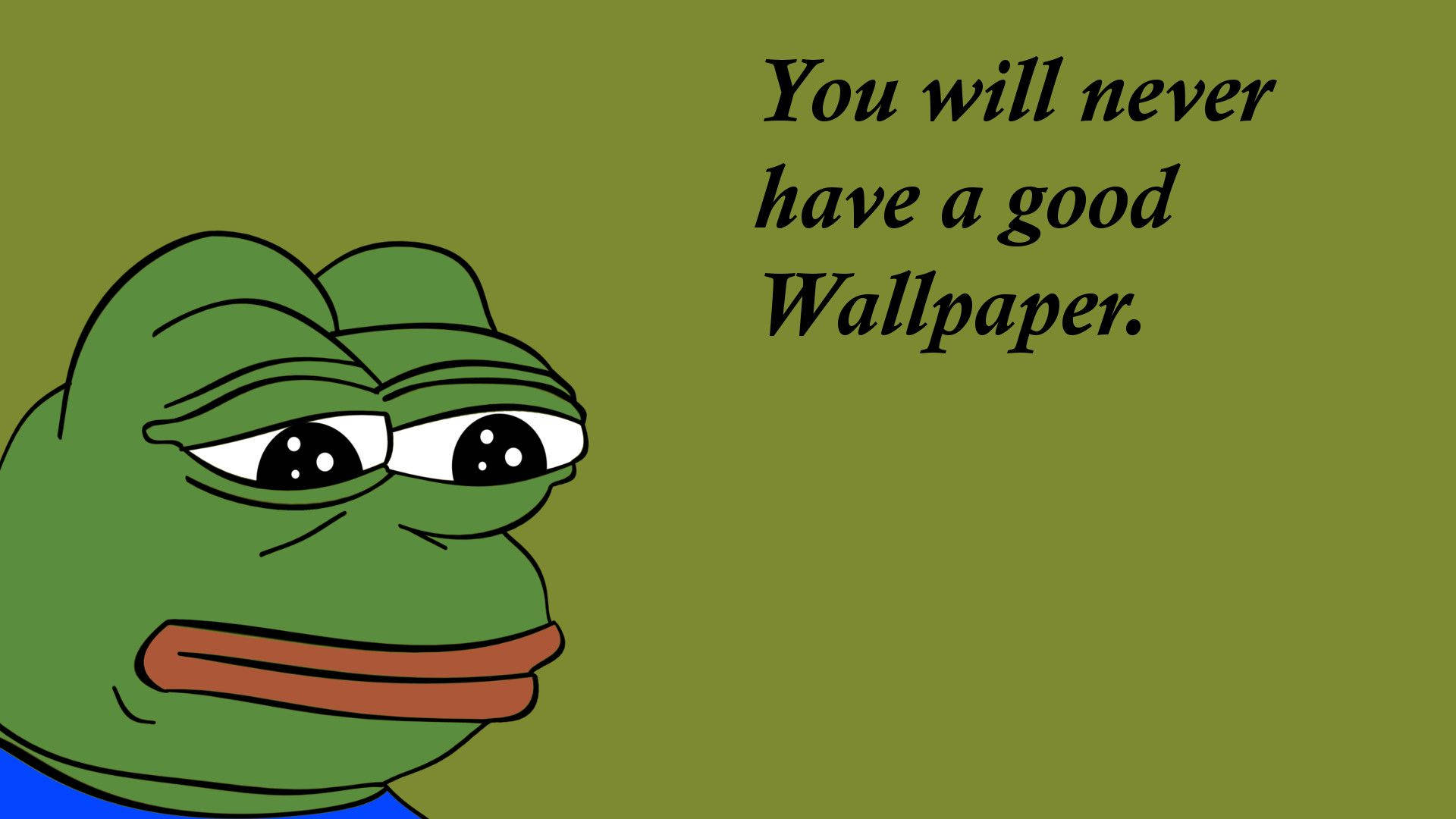 green cartoon frog, sad expression, text saying 'You will never have a good Wallpaper.', Full HD Desktop Wallpaper