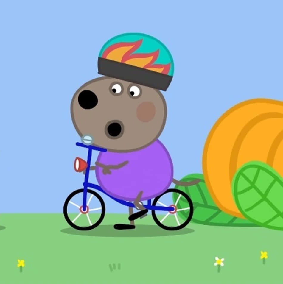 Danny Dog, flame helmet, blue bike, SD Phone Wallpaper